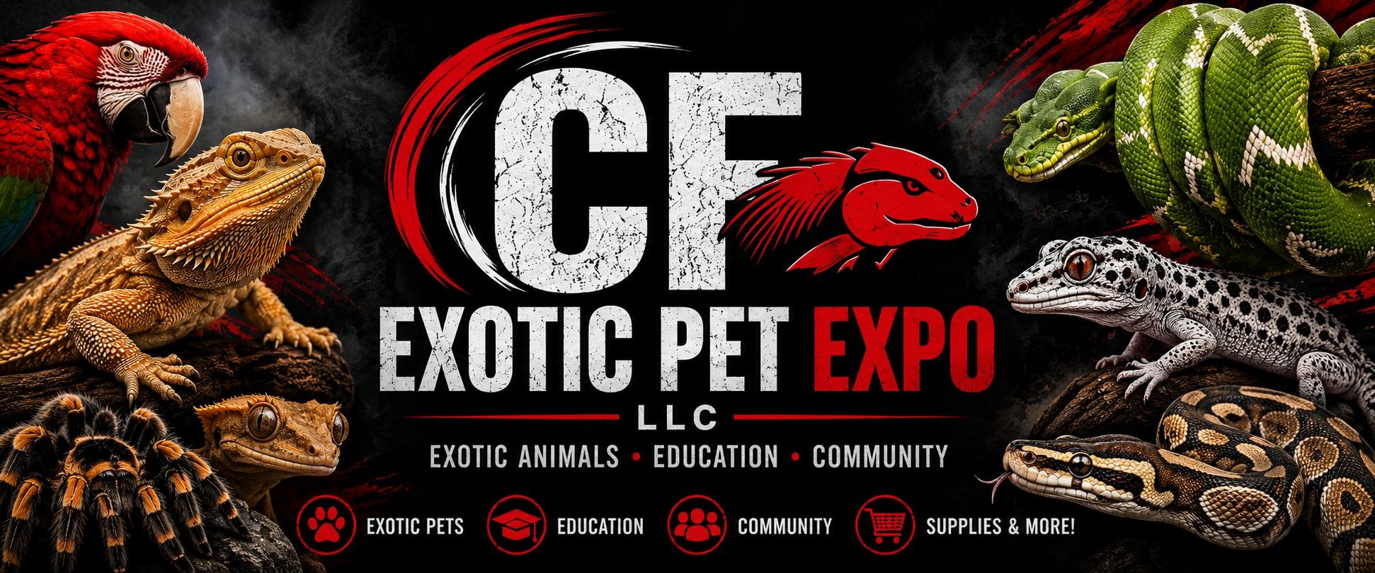 CF Exotic Pet Expo: exotic animals, education, community