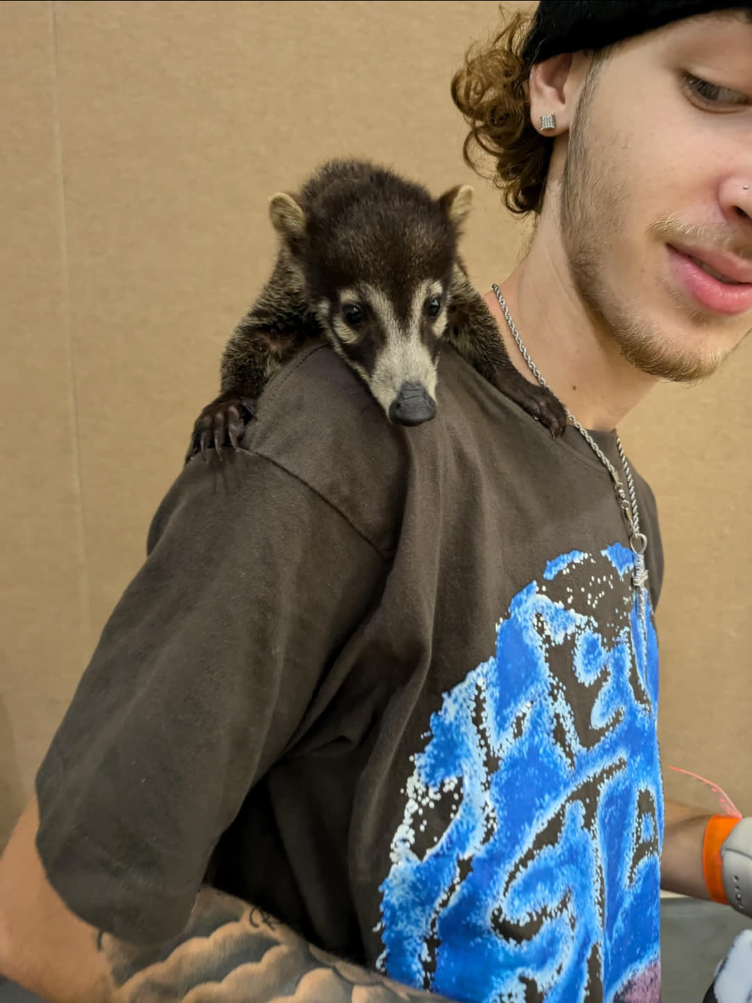 A young visitor with a coati riding on their shoulder